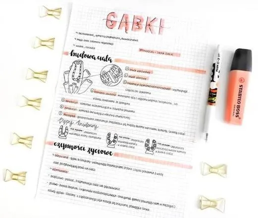 Jak pisać w zeszycie w kratkę, żeby notatki wyglądały czytelnie i estetycznie