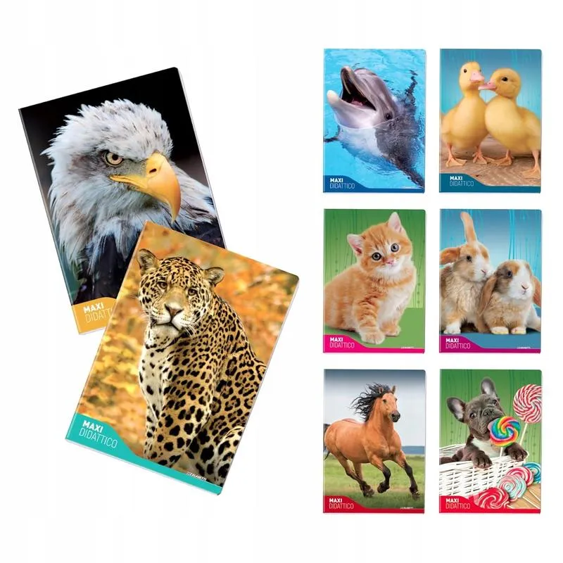 Jak wybrać idealny zeszyt? Odkryj format, który spełni Twoje potrzeby edukacyjne!