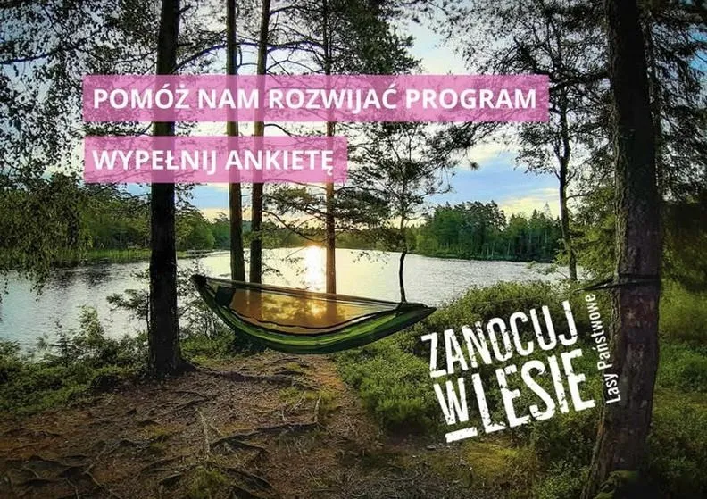 Jak zrobić ankietę o nauczaniu: praktyczny poradnik krok po kroku