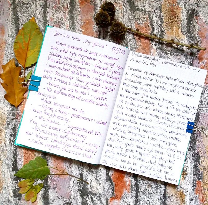 Sekrety czytelnego pisania: jak w zeszycie w szeroką linię uniknąć bałaganu i poprawić swoje pismo