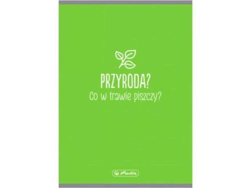 Zeszyt do przyrody w kratkę czy w linię – który z nich lepiej wspiera naukę?