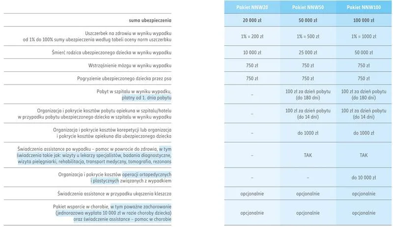 Bezpieczeństwo w sieci