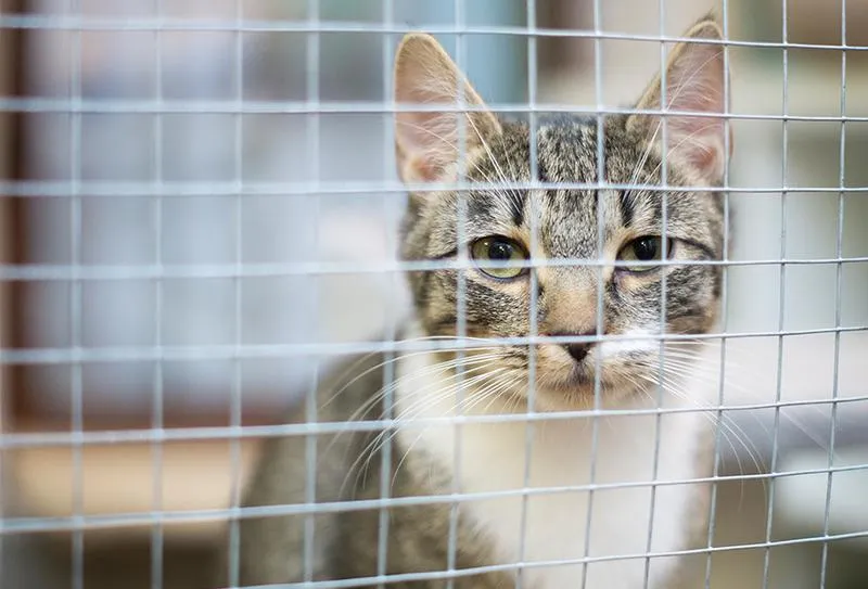 Bezpieczeństwo zabawek dla dzieci