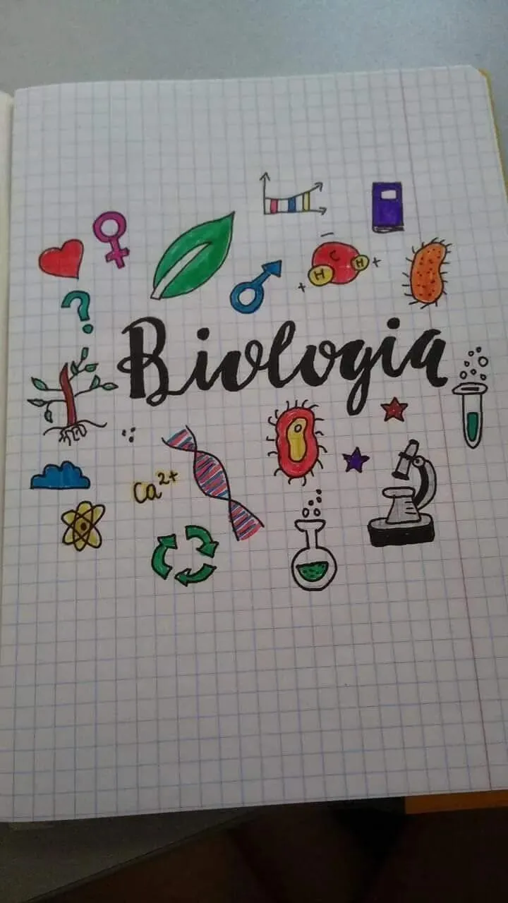 DIY okładki z recyklingu