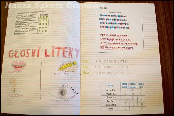 Etykietowanie i organizacja zeszytów