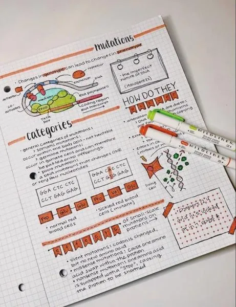 Grafiki w notatkach