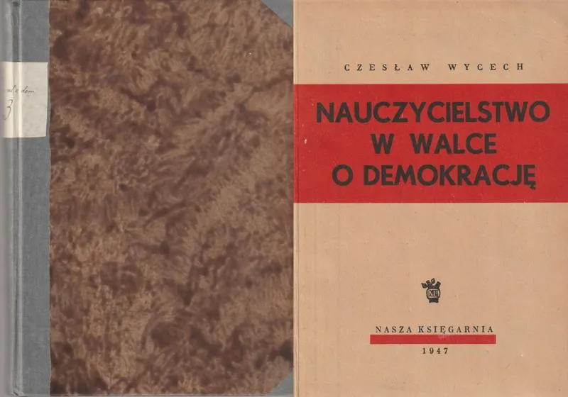 Kariera nauczyciela po licencjacie