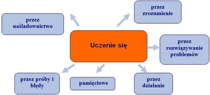 Motywacja w edukacji dorosłych
