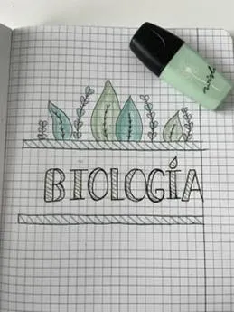 Organizacja notatek