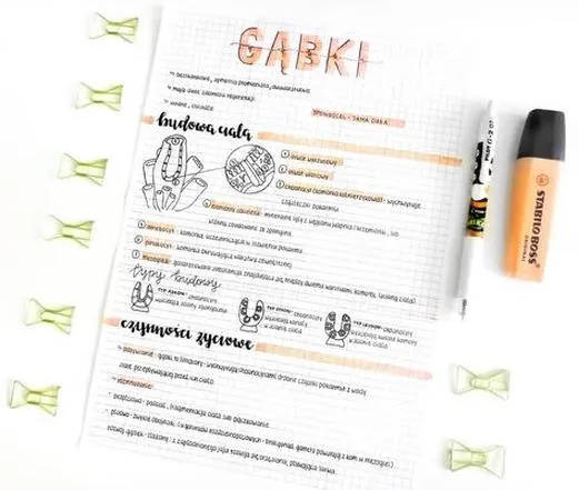Porządek w notatkach