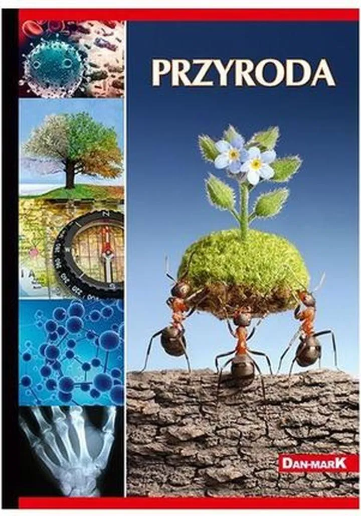 Przyswajanie informacji