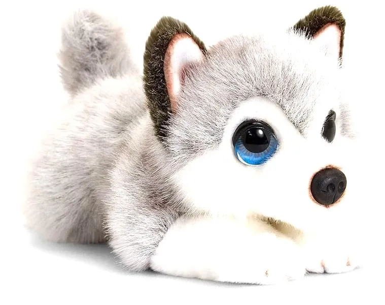 Zabawki husky