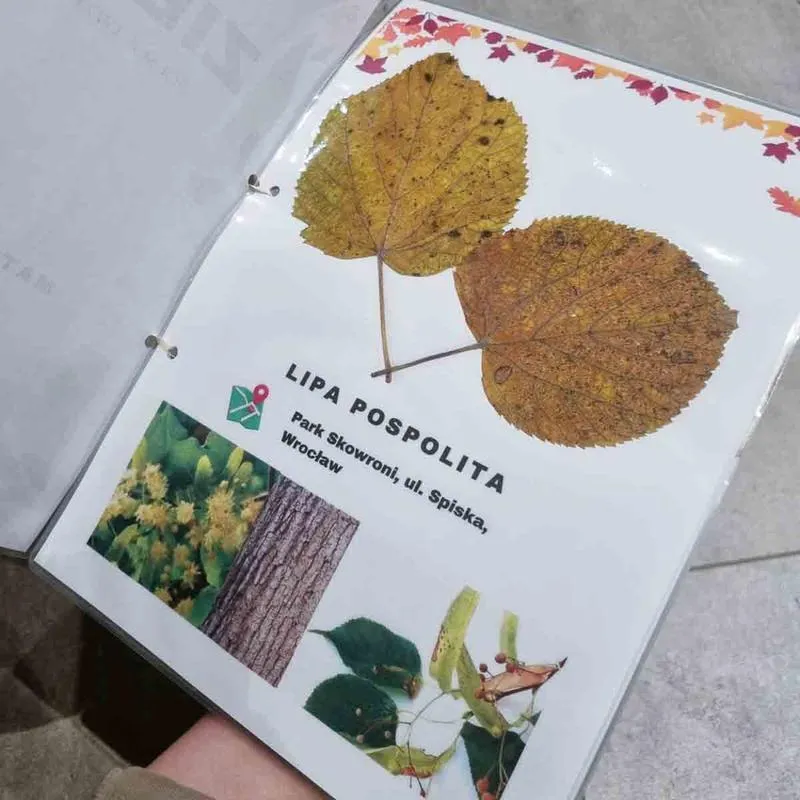 Zioła do zielnika szkolnego